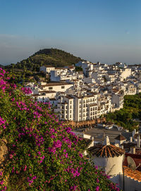 High angle view of flowering plants and buildings against sky