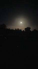 Low angle view of silhouette trees against sky at night