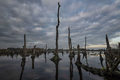 Panoramic view of wooden posts on lake against sky