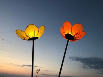 Low angle view of orange flower against sky during sunset