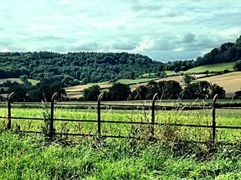 Scenic view of grassy field against sky