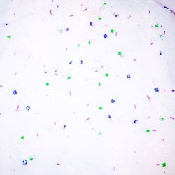 Close-up of colorful objects