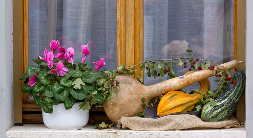 Potted plants on window sill