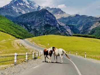 Rear view of men walking on road against mountains