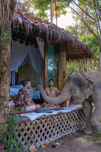 Low angle view of elephant