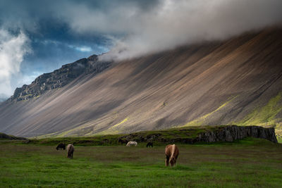 Scenic view of mountain range with horses