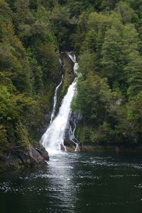 Scenic view of waterfall in forest