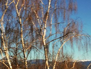 Scenic view of lake against blue sky