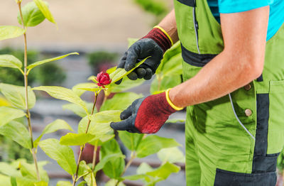 Midsection of man holding plant