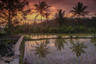 Scenic view of lake against sky at sunset