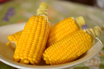 Close-up of food