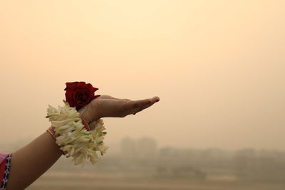 Cropped hand holding bouquet