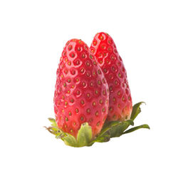 Close-up of strawberry over white background