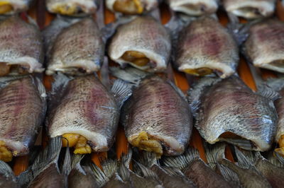 Close-up of fish for sale