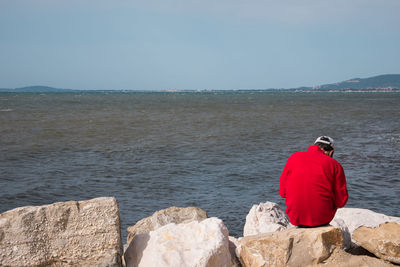 Rear view of man on rock at seashore against sky