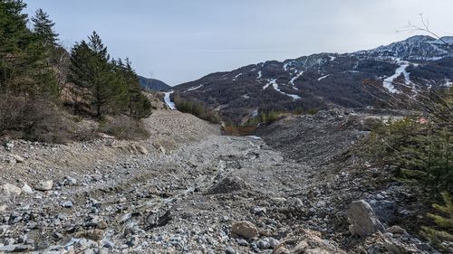 environment
