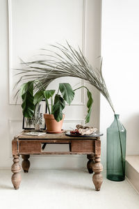 Potted plant on table at home