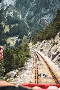 High angle view of railroad tracks amidst trees in forest