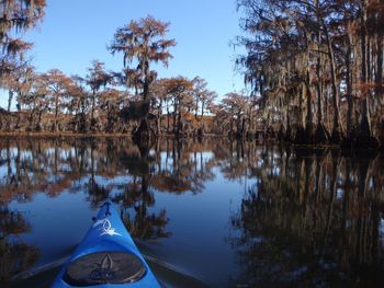 Reflection of trees in calm lake