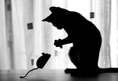 Cat mouse play silhouette black white