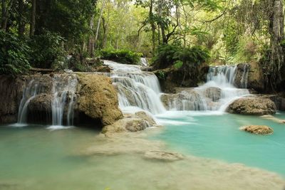 Scenic view of waterfall in forest