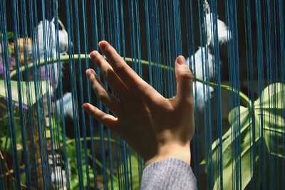 Cropped hand of person touching curtain