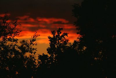 Silhouette trees against sky during sunset