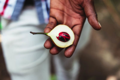 Close-up of hand holding fruit