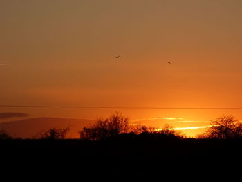 Silhouette birds flying against orange sky