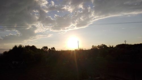 View of trees on landscape at sunset