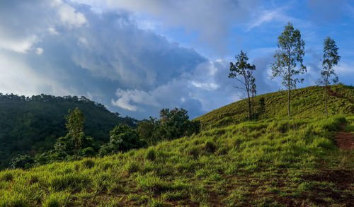Low angle view of green landscape against sky