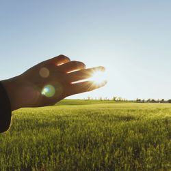 Person hand on field against clear sky