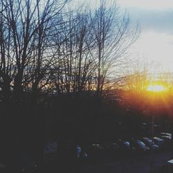 Bare trees against sky at sunset