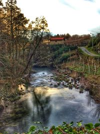 River flowing through rocks