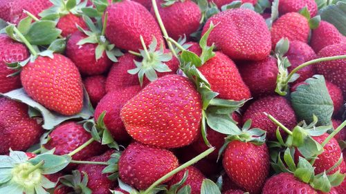 Full frame shot of strawberries