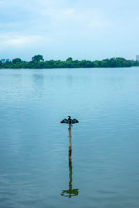 Scenic view of lake against sky