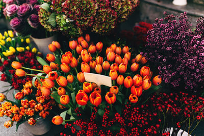 High angle view of flowering plants at market stall