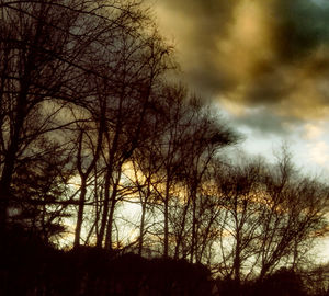 Silhouette bare trees against sky during sunset