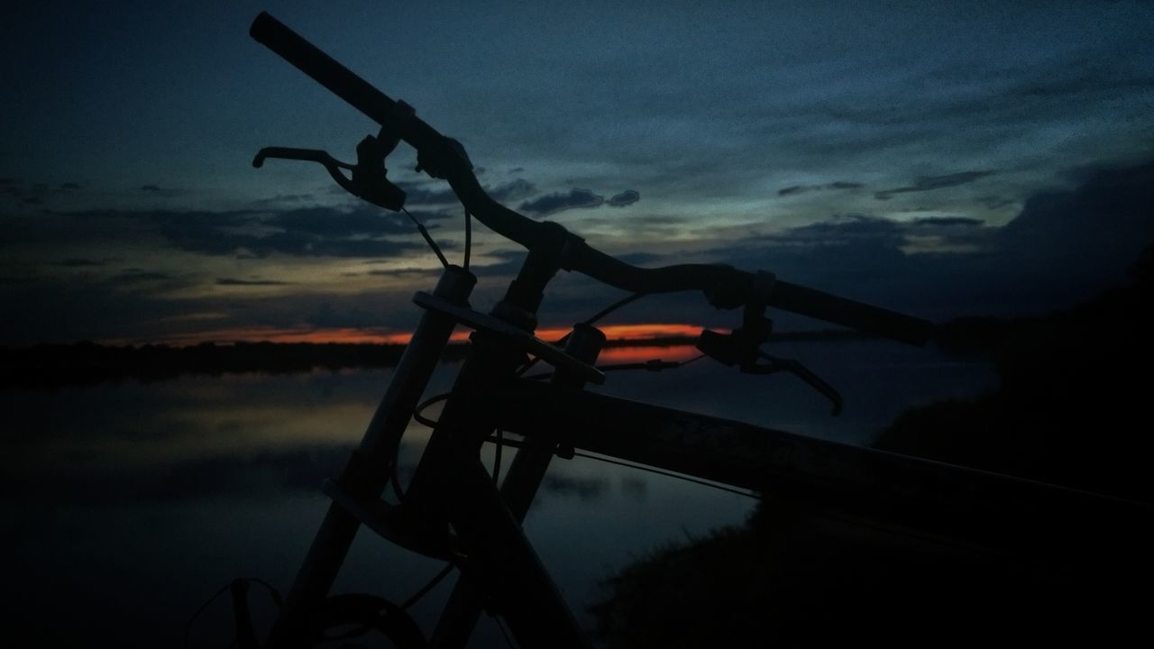 SILHOUETTE OF TREE AT SUNSET