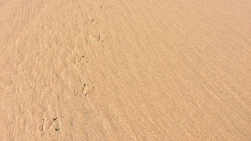 High angle view of footprints on sand at beach