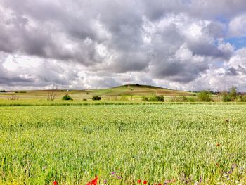 Scenic view of field against cloudy sky