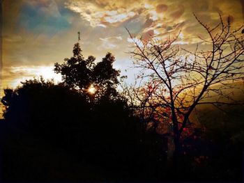 Silhouette trees against scenic sky