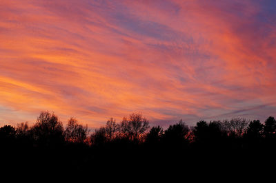 Silhouette trees against sky during sunset