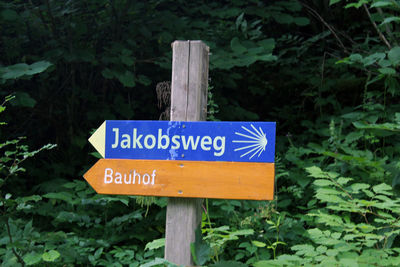 Close-up of road sign against trees