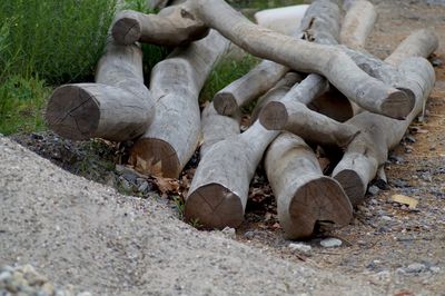 Close-up of stack of logs on field