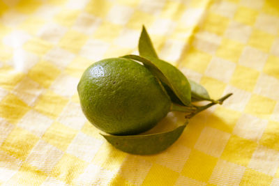 citrus