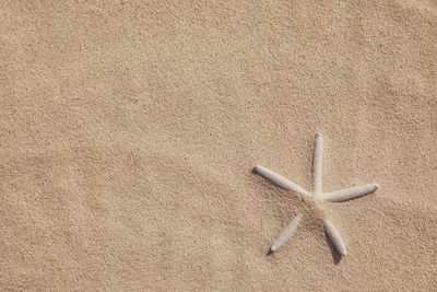 High angle view of a sand