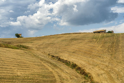 Scenic view of agricultural field against sky