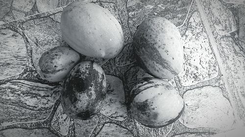 Close-up high angle view of bread