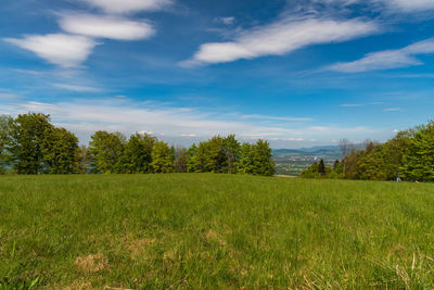 Scenic view of field against sky